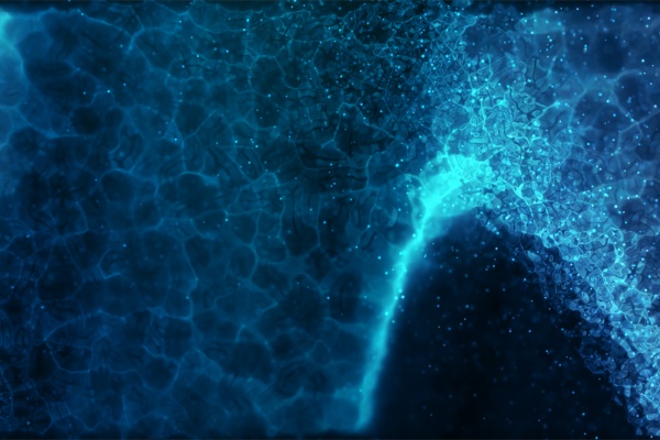 How Ravi Switched His Career from Non-IT to SAP