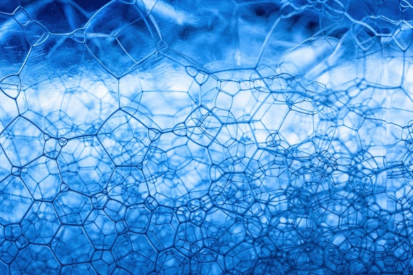 Confused About Your Career? Here Are the Top Courses to Choose in 2026