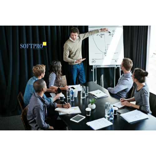 SAP S4 HANA Strategic Enterprise Management - Integrated Planning (SEM-IP) Training