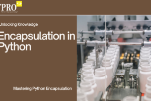 Mastering Encapsulation in Python Concepts, Benefits, and Coding Examples